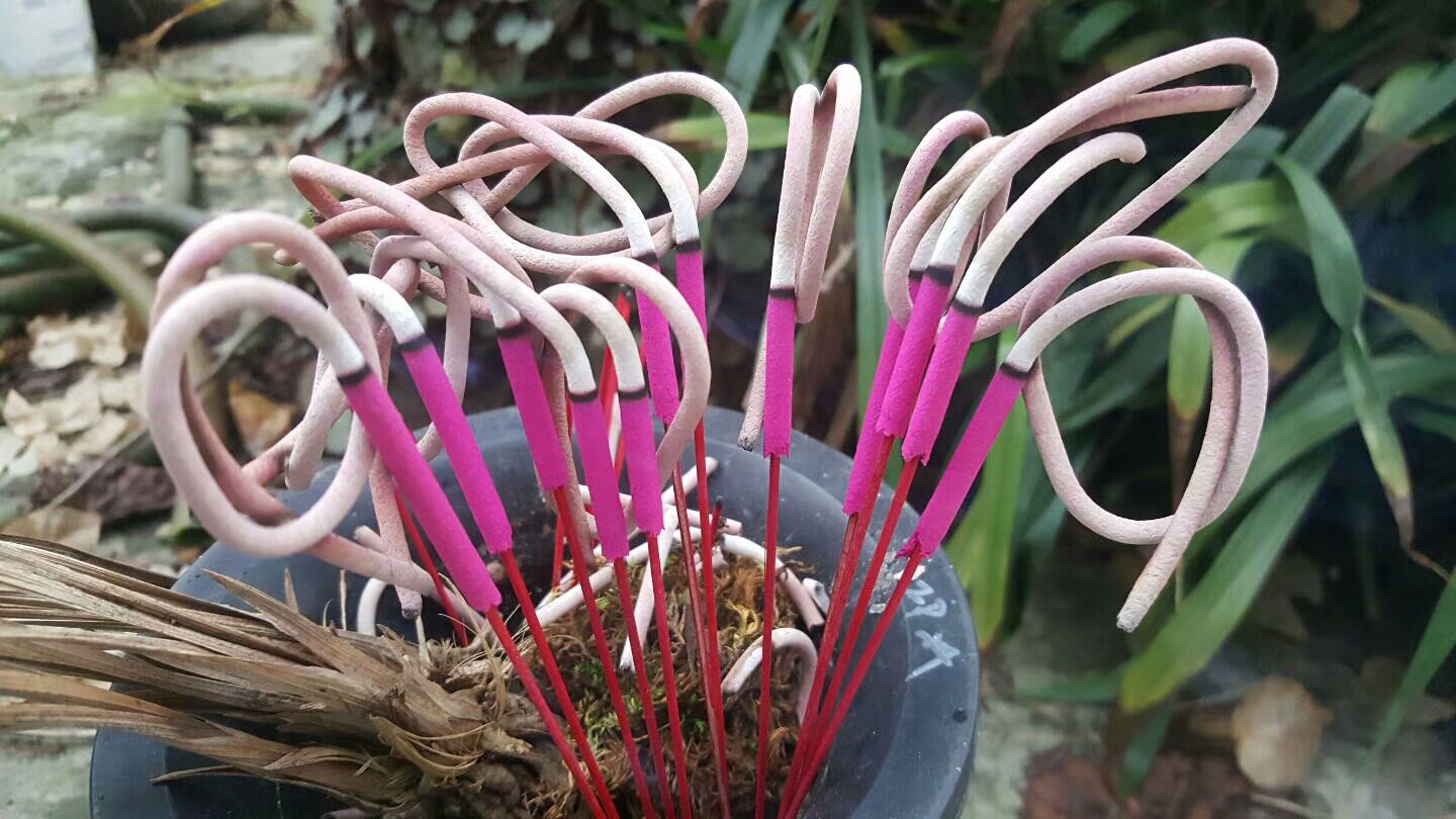 白灰卷錢香粉，卷錢香專用
