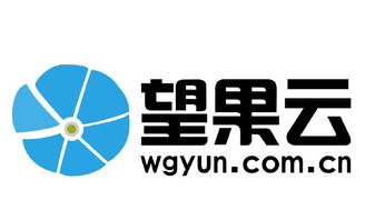 售前咨詢待遇解析 聚焦中小企業(yè)咨詢服務與看準網(wǎng)平臺